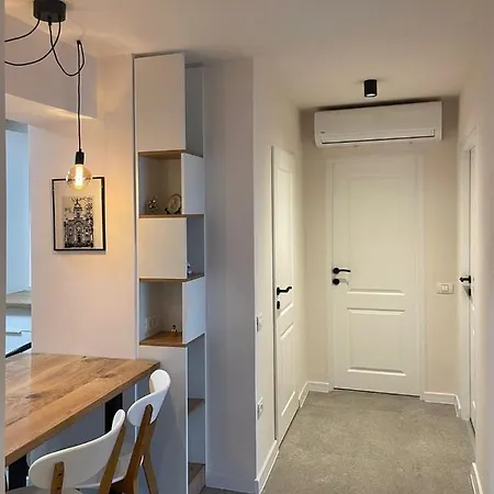 Apartment Mony Timisoara